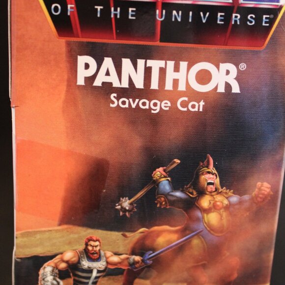 PANTHOR Savage Cat Master Of The Universe - Picture 6 of 6